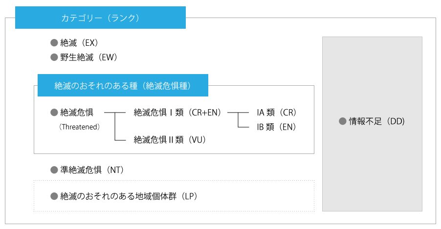 選定評価（カテゴリー付け）